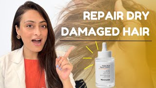 Repair dry damaged hair  Minimalist  Maleic bond repair complex  Dermatologist [upl. by Karil]