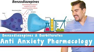 Anti Anxiety Pharmacology Benzodiazepines and Barbiturates [upl. by Oria]