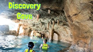 The Best Day At Discovery Cove [upl. by Aubrette]