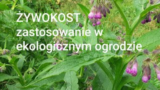 ĹťYWOKOST zastosowanie w ekologicznym ogrodzie [upl. by Attenad]