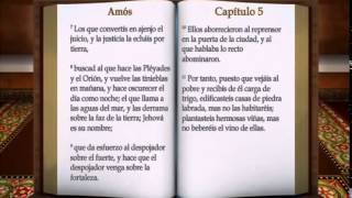 30 LA BIBLIA  AMOS  COMPLETO REINA VALERA ANTIGUO TESTAMENTO [upl. by Nairam233]