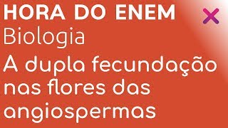 A dupla fecundação nas flores das angiospermas  HORA DO ENEM [upl. by Hennessy40]