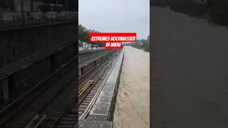 Extremes Hochwasser in Wien am 15092024 heavyrain hochwasser vienna viralvideo trending [upl. by Irot]