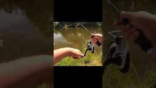 Bank fishing for dinky largemouth bass [upl. by Nodearb980]