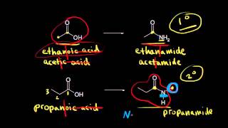 Nomenclature and properties of amides  Organic chemistry  Khan Academy [upl. by Ybhsa]