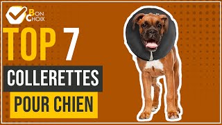 Collerettes pour chien  Top 7  BonChoix [upl. by Sheelagh827]