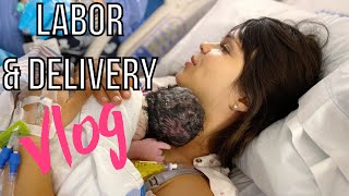 Labor And Delivery Vlog  Successful VBAC Birth [upl. by Kriss]