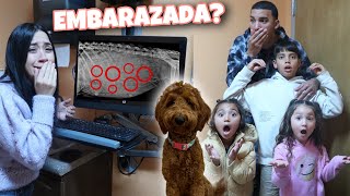 NUESTRA PERRITA ESTA EMBARAZADA  Le hacemos un ultrasonido de perros 😱 y lo que salió [upl. by Noreg]