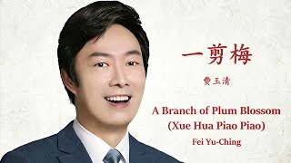 Fei YuChing  Yi Jian Mei Lyrics Translation Pinyin 费玉清 – 一剪梅【中英文歌词】 [upl. by Ardnu]