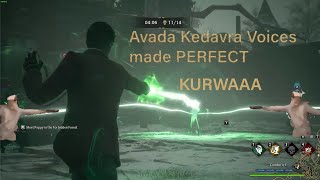 Hogwarts Legacy  Avada Kedavra voice made PERFECT  kurwa [upl. by Ahsilrak]