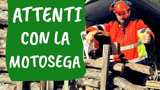 TAGLIO LEGNA con la MOTOSEGA 5 errori da non fare [upl. by Slifka]