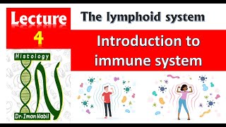 4Introduction to immune systemBlood and lymphoid system [upl. by Harhay120]