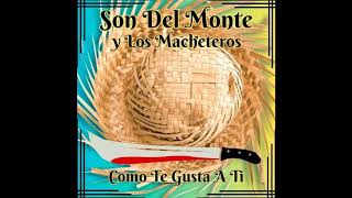 Son Del Monte Y Los Macheteros  Ella No Baila Sola [upl. by Anayhd767]