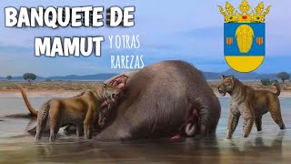 5 CURIOSIDADES que no sabrás si no ves el video 😊 Delfín con bigotes 🐬 [upl. by Enois]