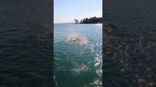 MERMAID IN DEEP WATER Lake Michigan shorts [upl. by Novets]