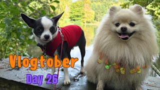 Vlogtober 2023  Day 26 [upl. by Aital306]