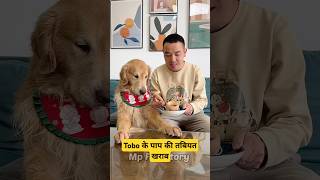 🐕Tobo के पापा की तबीयत खराब  mini wood toy  woodworking art skill  hand crafts shorts pets [upl. by Eibob]