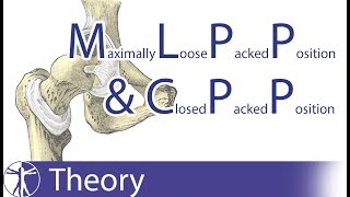 Maximally Loose Packed Position MLPP amp Close Packed Position CPP Explained [upl. by Amoeji]