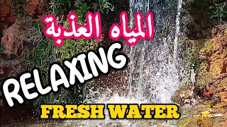 جمال المياه العذبة  Fresh Water Sound with Relaxing Music [upl. by Aysahc]