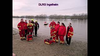 Neujahrsschwimmen Ingelheim am Rhein 2023 [upl. by Uchish]