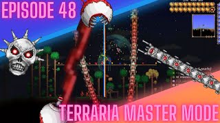 Master Terraria  REMATCH 48 [upl. by Ogdon189]