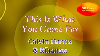 Calvin Harris amp Rihanna  This Is What You Came For lyric video [upl. by Enailil]