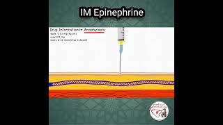 ADRENALINE Epinephrine DOSE in ANAPHYLAXIS pediatrics medicine epinephrine [upl. by Lleira]