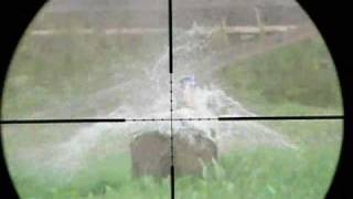 Scope cam 22lr test [upl. by Garik]