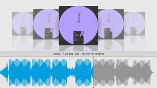 Pizeta  A Special Day  Kol Mojito Records [upl. by Nerret137]