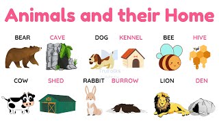 Animal and Their Homes  Home of animals Names [upl. by Radley]