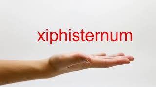 How to Pronounce xiphisternum  American English [upl. by Stanway]