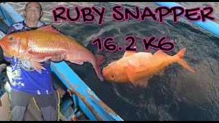 MAMAW RUBY SNAPPER on Slow Pitch Jigging plus UNLI STRIKE [upl. by Ermina]