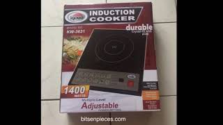 I PUT THIS KYOWA INDUCTION COOKER TO THE TEST REVIEW [upl. by Yatnoj835]