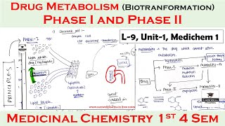 drug metabolism phase 1 and phase 2  biotranformation  L9 U1  medicinal chemistry 4th semester [upl. by Nalyad]