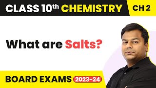 Salts  Acid Bases and Salts  Class 10 Chemistry [upl. by Yumuk769]