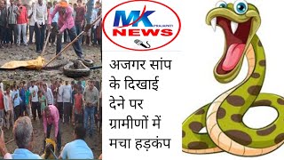 Bijnor news अजगर सांप के दिखाई देने पर ग्रामीणों में मचा हड़कंप सूचना मिलने पर पहुंची वन विभाग टीम [upl. by Goober]