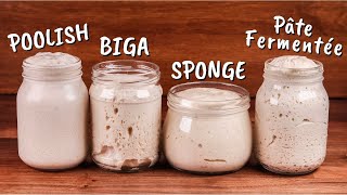 Yeasted Preferments Explained  Poolish Biga Sponge Pâte Fermentée [upl. by Irabaj]