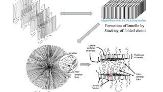 Polymer Crystallization [upl. by Hay]