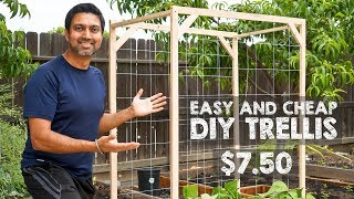 How to Make Easy and Cheap Trellis [upl. by Otto]