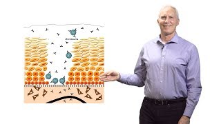 John Schiller NCI at NIH 2 Why Do HPV VirusLike Particle Vaccines Work So Well [upl. by Ellery]