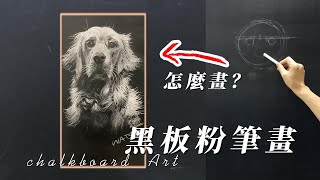 【解說】怎麼畫黑板粉筆畫｜寵物寫實畫法｜如何畫起型結構｜塑造光影｜繪畫步驟解說 chalkart chalkboard blackboard [upl. by Nwahsir]