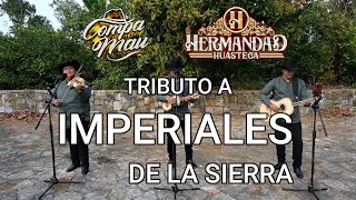 TRIO HERMANDAD HUASTECA  TRIBUTO A IMPERIALES DE LA SIERRA SESION EN VIVO✅✅ [upl. by Llekcor]