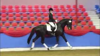 wwwreitschulesandbrinkde Sir Donnerhall  Escudo 1st Spring Licensing Vechta 2012 [upl. by Alejoa]