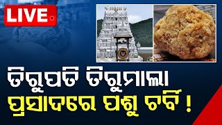 🔴LIVE  ତିରୁପତି ପ୍ରସାଦରେ ଚର୍ବି   Tirupati laddoos contain beef fat fish oil confirms lab report [upl. by Harmony]