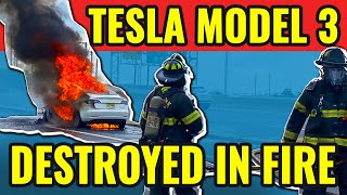 Tesla Model 3 Burns Up In New Jersey Are EVs More Prone To Catch Fire [upl. by Elicia]