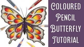 Following a Butterfly Colouring Tutorial from Colourists Special Effects [upl. by Azmuh768]