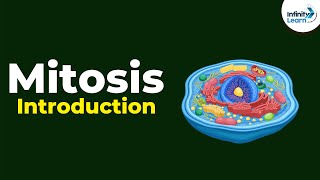 Introduction to Mitosis  Dont Memorise [upl. by Agace]