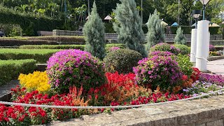 KOWLOON PARK HONG KONG hongkong [upl. by Adieno]