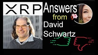 XRP Answers from Ripple CTO David Schwartz Bithumb halts trading Reckless Tweet Trading View [upl. by Llemor]