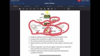 Chapter 10 Cellular Respiration Part 1 [upl. by Marketa395]